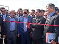 موسس هنرستان تربیت بدنی فرااندیشان